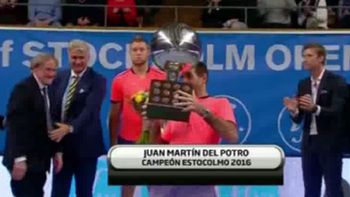 Del Potro logró en Estocolmo el decimonoveno título en el circuito. Del Potro logró en Estocolmo el decimonoveno título en el circuito.