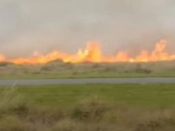 Por los fuertes vientos, un incendio en un campo llegó a la Ruta 11