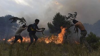 el intendente de pinamar hablo de vecinos que se metieron a ayudar en el incendio el intendente de pinamar hablo de vecinos que se metieron a ayudar en el incendio