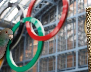 Sin Juegos: la Argentina no competiría en las olimpíadas de palomas