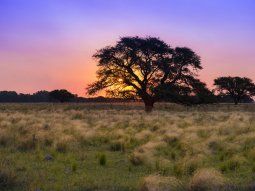 Cómo estará el clima en Nochebuena en La Pampa