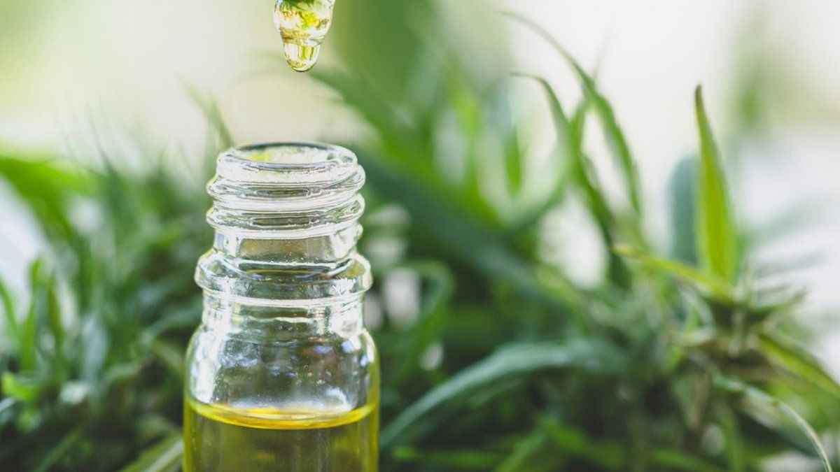 ANMAT autorizó la venta del primer aceite de cannabis producido en