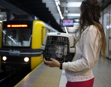 Los gatos y perros podrán viajar en Subte