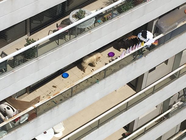 El balcón del departamento de More Rial