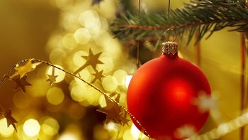 algunos consejos para armar el arbol de navidad algunos consejos para armar el arbol de navidad