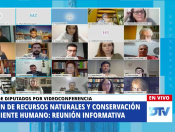 VIDEO: En una reunión virtual, Diputados trata las causas ambientales de la pandemia