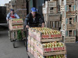 El Gobierno eliminó la CONAL, una comisión dedicada al control de alimentos