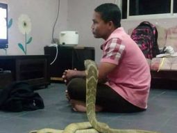 Su novia murió pero según él volvió en forma de serpiente