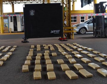 Secuestraron media tonelada de marihuana en el aeródromo de Navarro