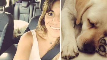 el dolor y la furia de gianinna maradona porque atropellaron y mataron a su perra el dolor y la furia de gianinna maradona porque atropellaron y mataron a su perra