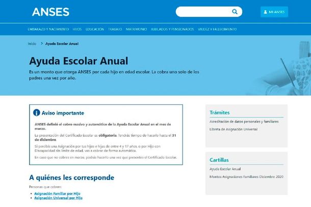 Cómo Hay Que Pedir La Ayuda Escolar Anual 2021 De Anses