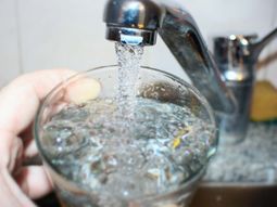 Indignación por el sabor y el olor del agua: desde AySA ratifican que es absolutamente segura