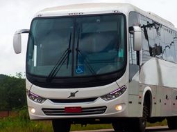 Imagen ilustrativa Imagen ilustrativa