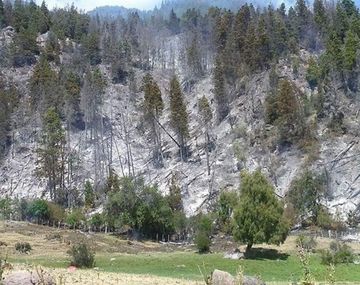 Nuevo incendio forestal en la cordillera