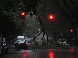 Tres de Febrero: murieron dos personas electrocutadas por el temporal
