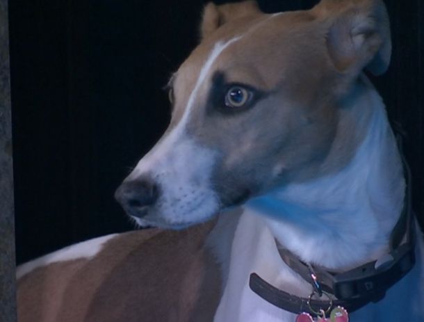 Arturo saldrá de la casa de Gran Hermano: los motivos