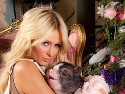 Paris_chan Paris_chan