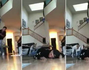 Simuló sufrir un infarto y la reacción de su perro no fue la esperada