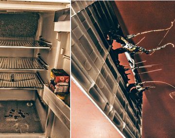 ¿Qué pasa cuando ponés una torta con la vela prendida en la heladera?