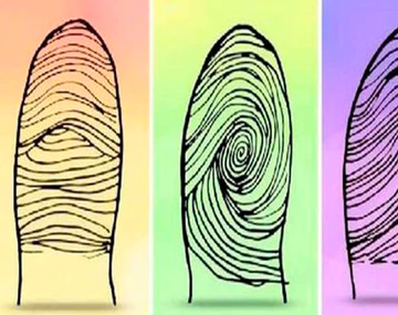 El test viral que define rasgos interesantes según la huella que sea similar a la tuya