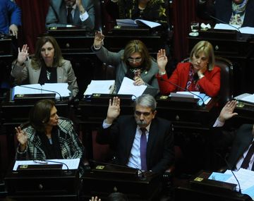 Senadores comezaron a tratar el pliego de Alejandra Gils Carbó