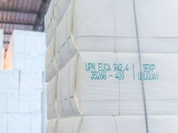 La celulosa continúa subiendo en Europa, a pesar de que el mercado asiático se muestra incierto. La celulosa continúa subiendo en Europa, a pesar de que el mercado asiático se muestra incierto.