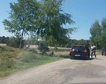 Dos chitas adultas rodearon a las personas pero no hubo problemas, por suerte