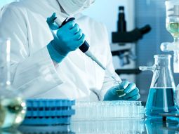 avance contra el cancer: descubren como atacar celulas madre tumorales avance contra el cancer: descubren como atacar celulas madre tumorales