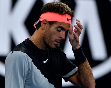 Del Potro fue eliminado de Delray Beach y se bajó de Acapulco