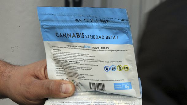 Se Agotó La Marihuana En El Primer Día De Venta En Las Farmacias De Uruguay 8345