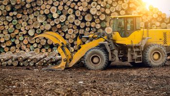 La industria forestal impulsaría el crecimiento del agronegocio en Uruguay. La industria forestal impulsaría el crecimiento del agronegocio en Uruguay.