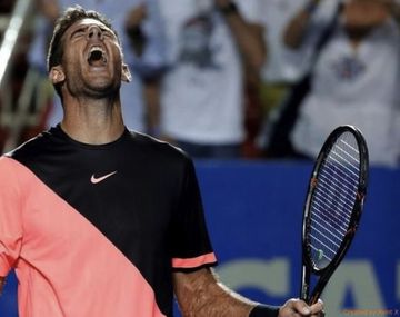 Del Potro venció a Zverev y está en la final de Acapulco