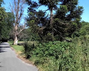 Lomas de Zamora: violaron a una mujer en la reserva Santa Catalina