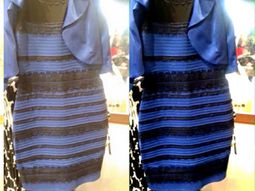 revelaron por que el vestido se veia dorado y blanco o negro y azul revelaron por que el vestido se veia dorado y blanco o negro y azul