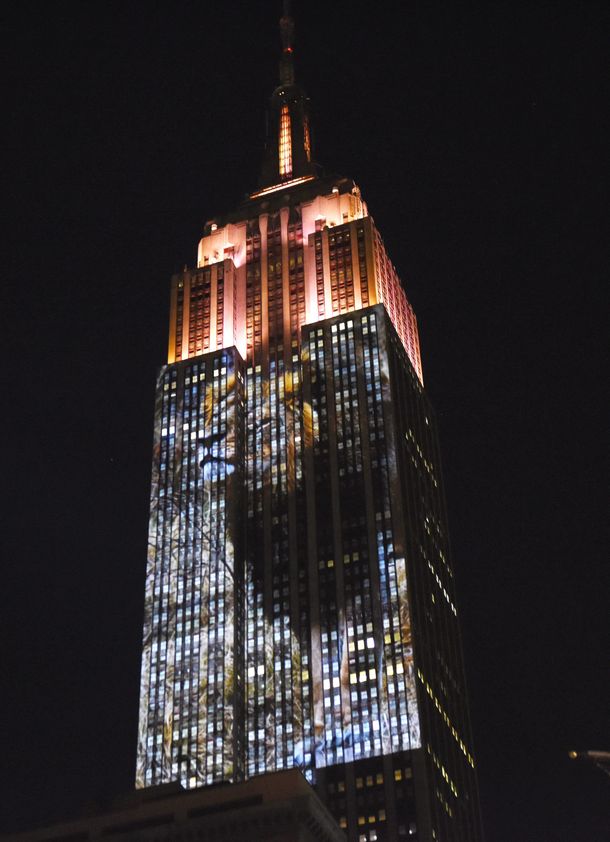 El Empire State se iluminó con imágenes de animales en peligro de extinción