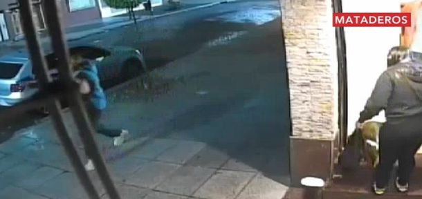 Perro héroe espantó a ladrones y evitó una entradera en Mataderos