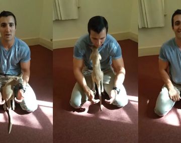 Un Policía adoptó a una cría de canguro 