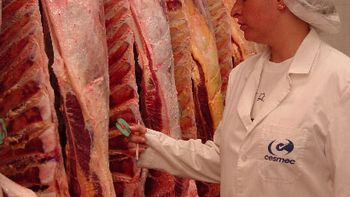 el sindicato de la carne anuncio que desde este lunes se trabajara a reglamento el sindicato de la carne anuncio que desde este lunes se trabajara a reglamento
