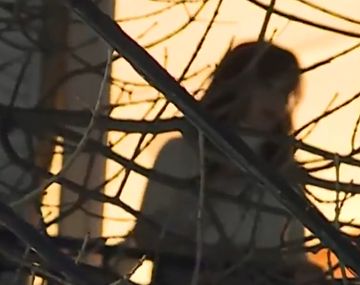 Cristina volvió a salir al balcón: esta vez