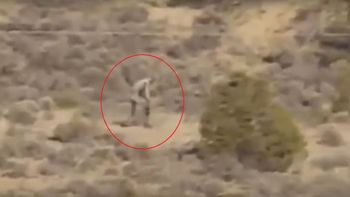 video: una extrana criatura humanoide fue vista en portugal video: una extrana criatura humanoide fue vista en portugal