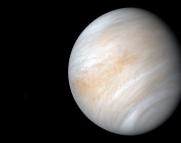Hallan posibles indicios de vida en Venus