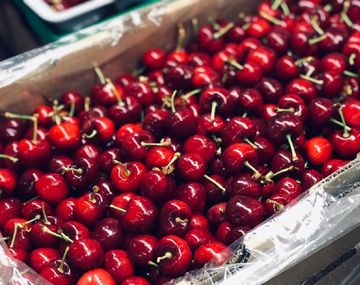 Extraberries realizo primera exportación de cerezas a China del 2020