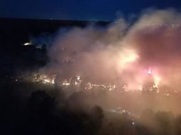 un voraz incendio afecto a una reserva forestal en mar del plata un voraz incendio afecto a una reserva forestal en mar del plata