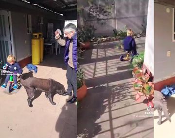 ¡Qué tiempazo!: un abuelo jugó a Franco Colapinto con su nieto y se volvió el viral más tierno