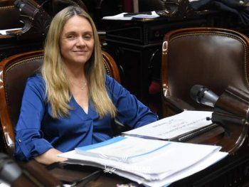 Una diputada de La Libertad Avanza admitió que su hijo usa sus pasajes oficiales del Congreso para viajar