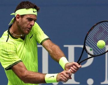 Juan Martín del Potro