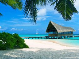 Home office desde el caribe: la oferta de una paradisíaca isla para viajeros