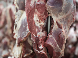 Minerva adquirió tres plantas de Marfrig y alcanza casi el 45% de la capacidad de faena de Uruguay. Minerva adquirió tres plantas de Marfrig y alcanza casi el 45% de la capacidad de faena de Uruguay.