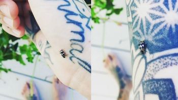 Candelaria Tinelli, recorrida por una vaquita de San Antonio Candelaria Tinelli, recorrida por una vaquita de San Antonio