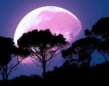 Cómo afectará la Luna rosa a cada signo del zodíaco.